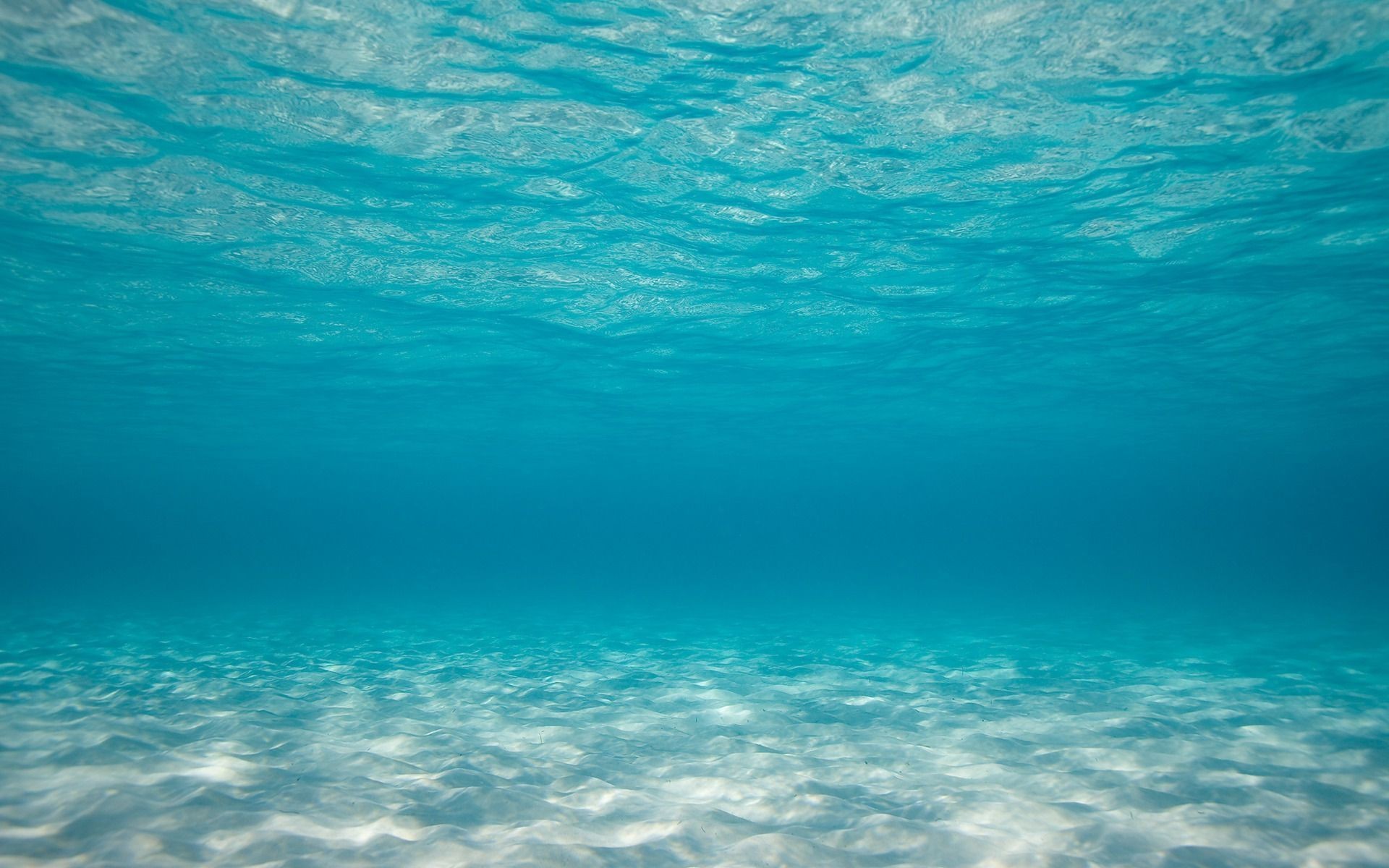 121678-widescreen-under-the-sea-background-1920x1200.jpg -  by Maria Angelopoulos Photogrpahy